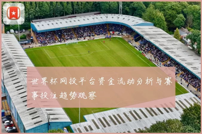 世界杯网投平台资金流动分析与赛事投注趋势观察