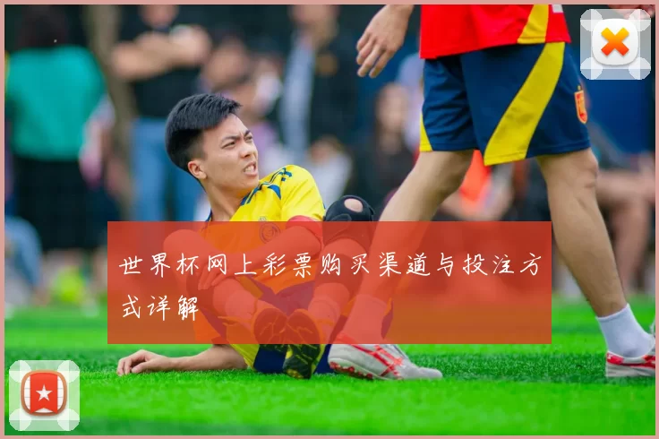 世界杯网上彩票购买渠道与投注方式详解