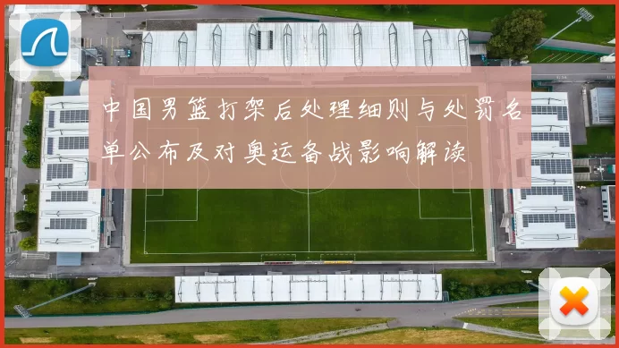 中国男篮打架后处理细则与处罚名单公布及对奥运备战影响解读
