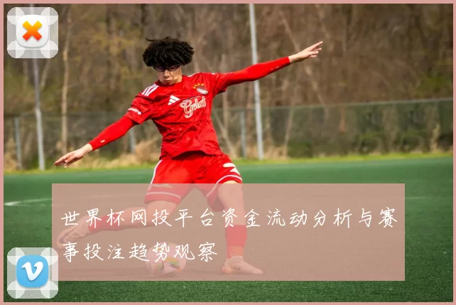 世界杯网投平台资金流动分析与赛事投注趋势观察